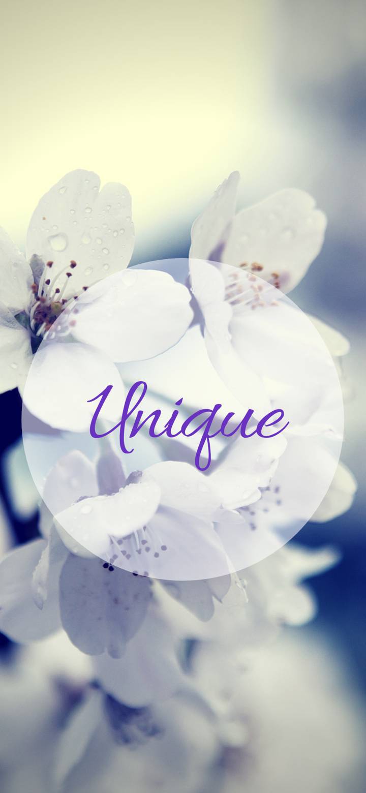 ÚNICA