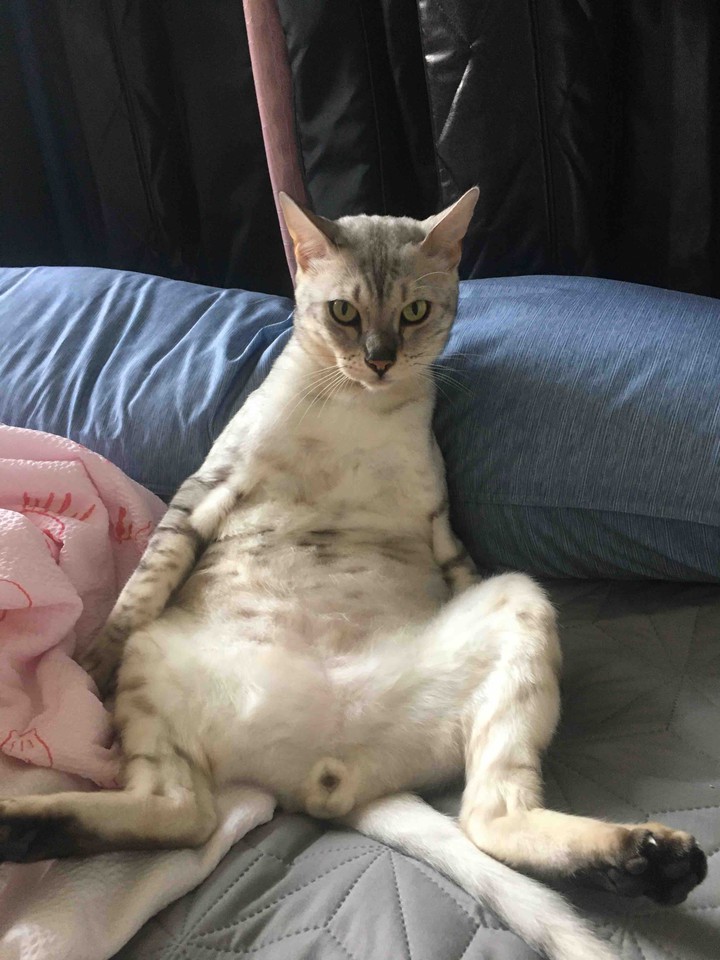상상치도 못한 자세