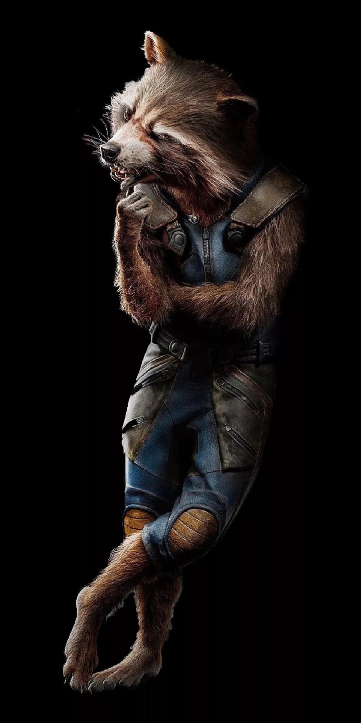 Rocket Raccoon