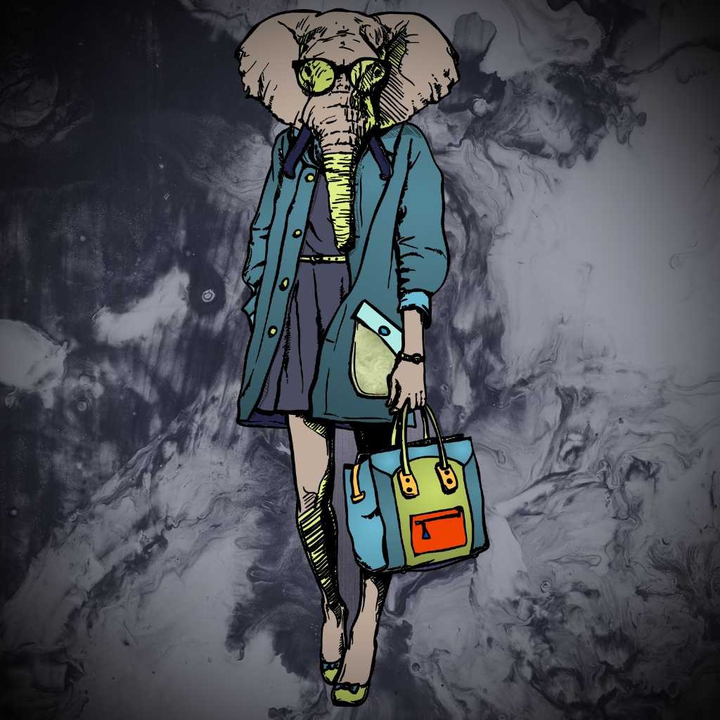 elefante fashion