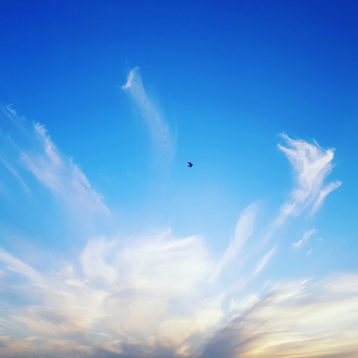 #skyview