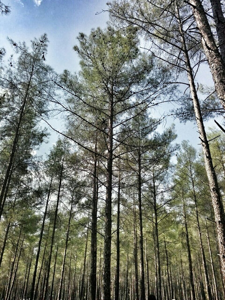 Antalya