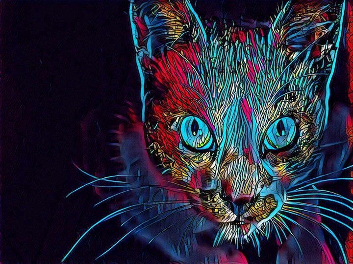 Remaster Cat