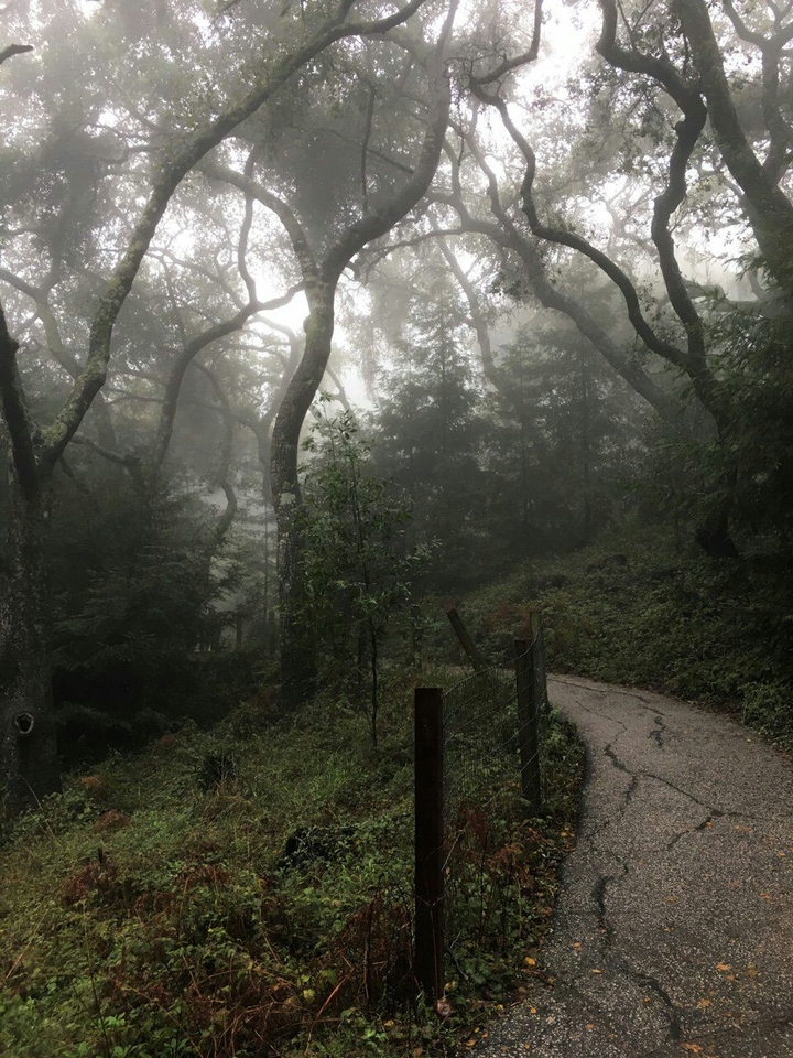 park