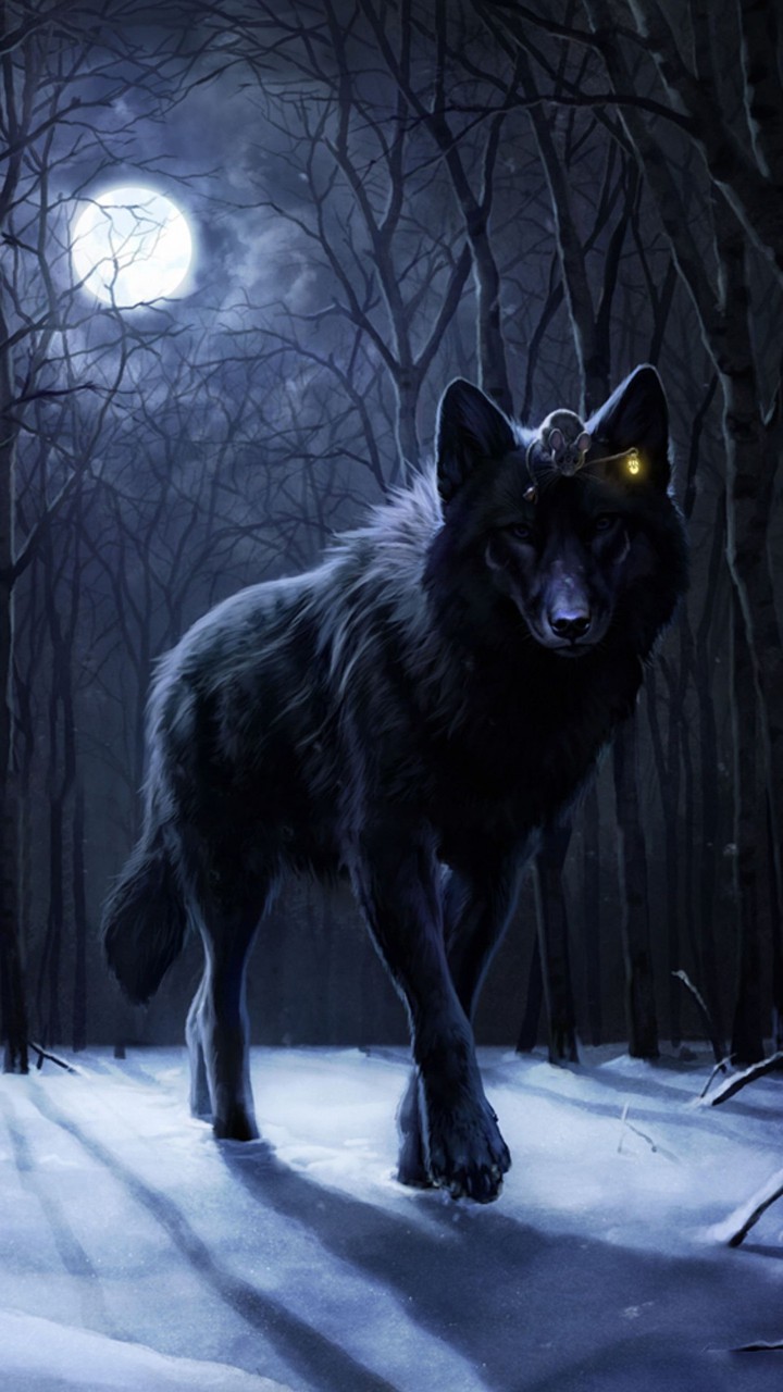 Black wolf