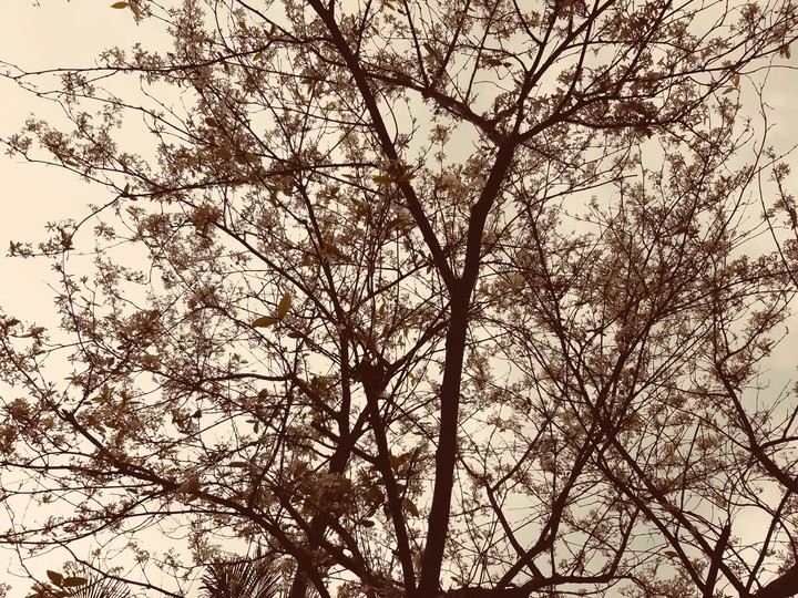 #beautiful