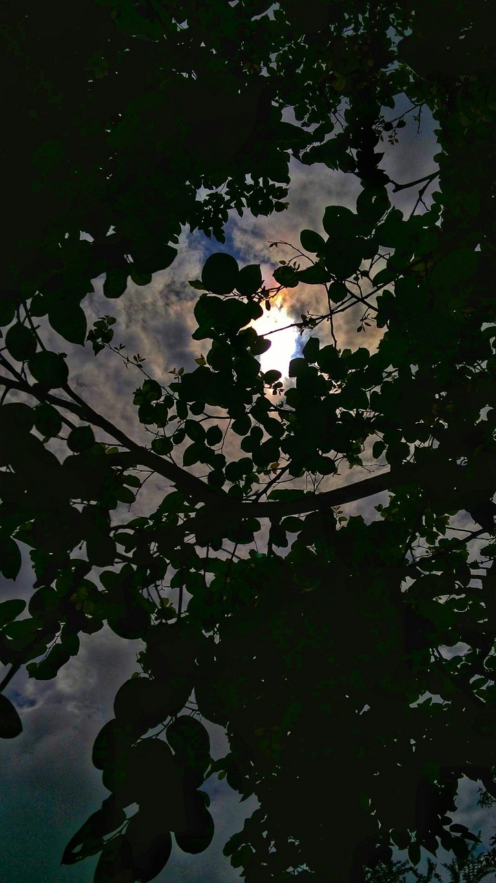 shining above clouds
