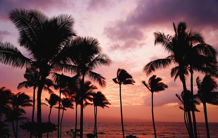 Nature's Beauty