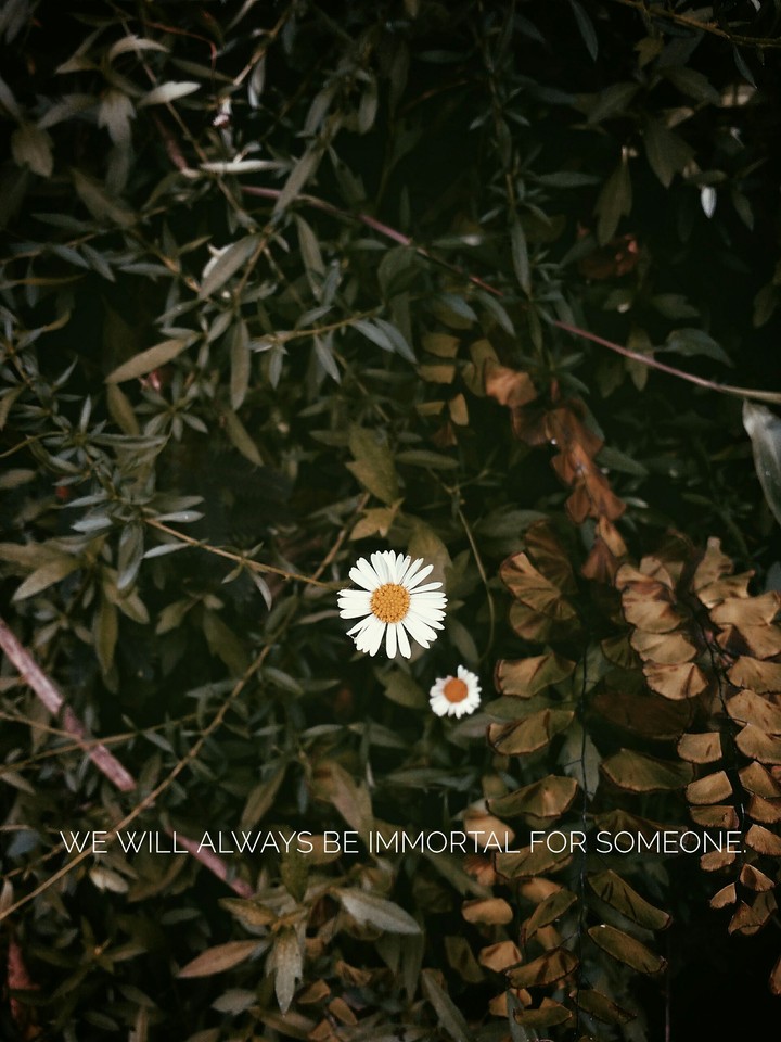 We will always be immortal for someone