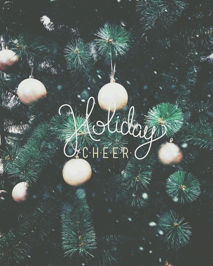 Holiday Cheers...