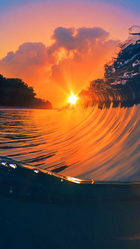 Sunshine