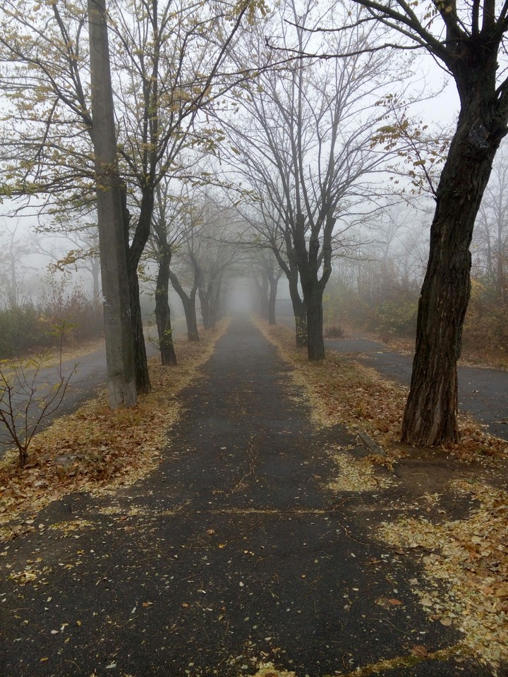 park