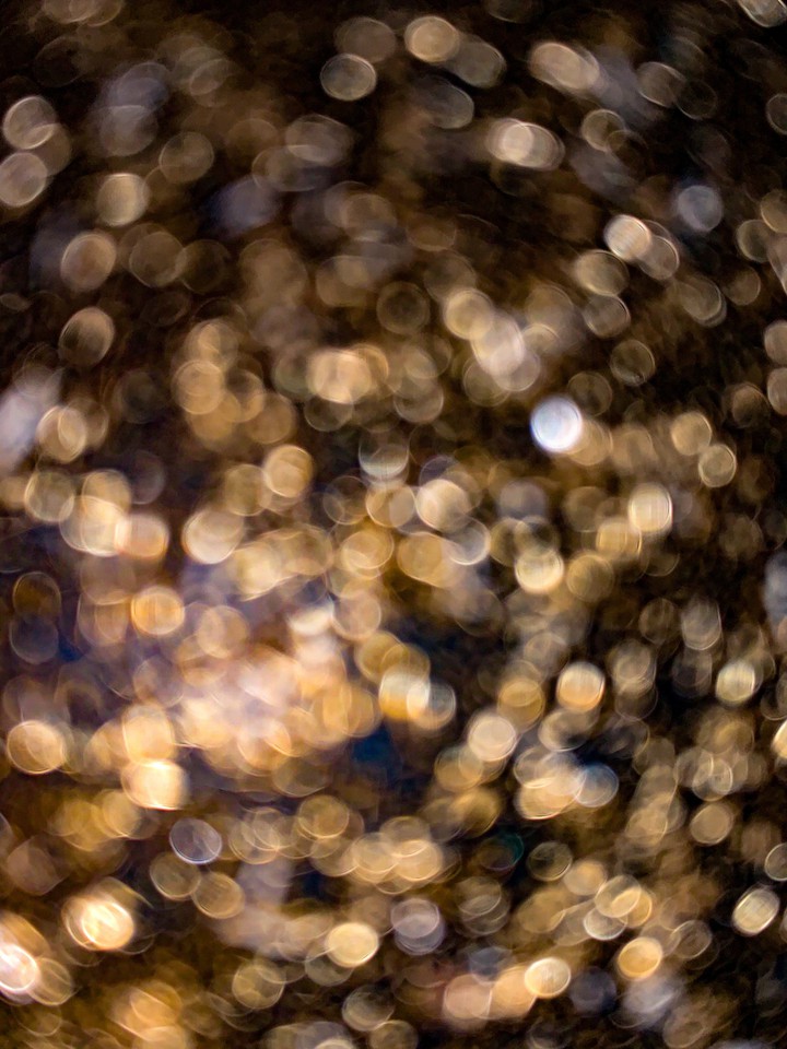 Haze of golden circles