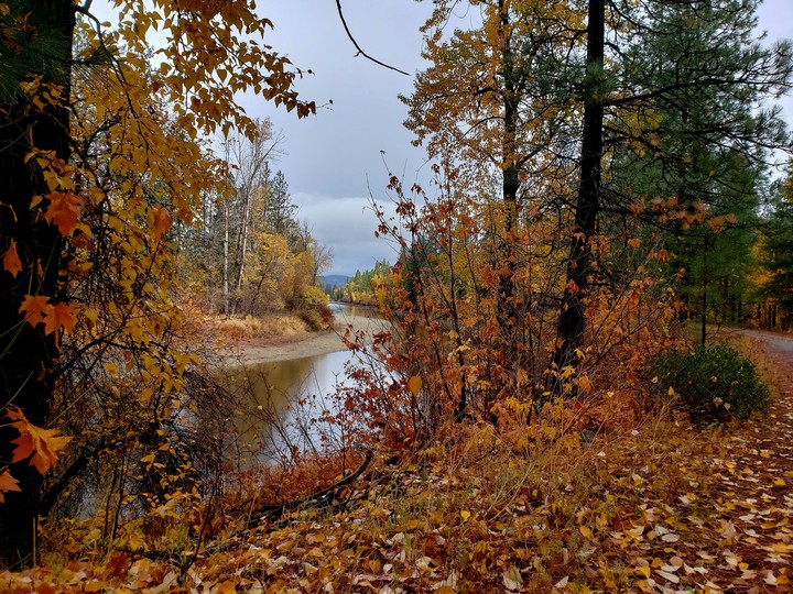 Calm river