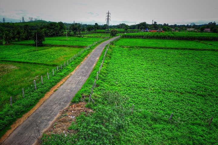 Green nature
