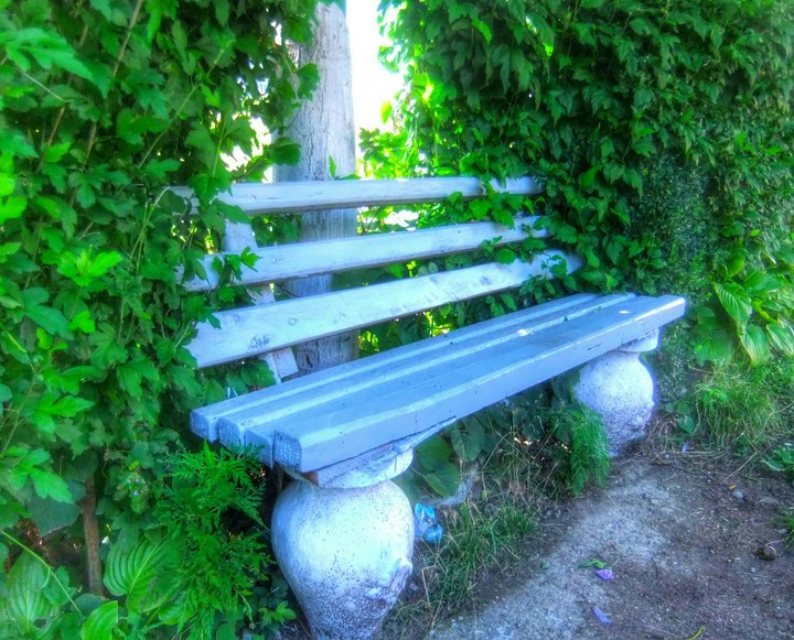 Garden bench
