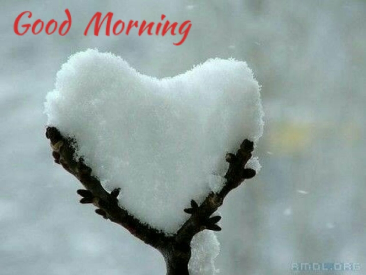 good morning hart