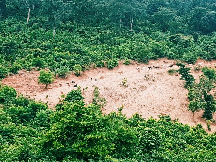 countryside