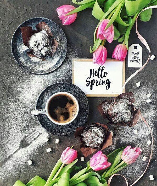 hello spring