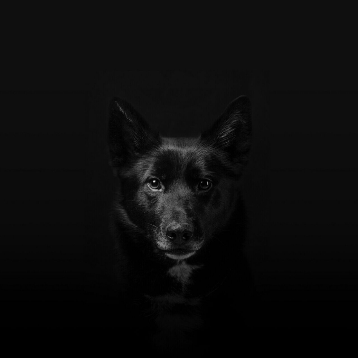 blacky