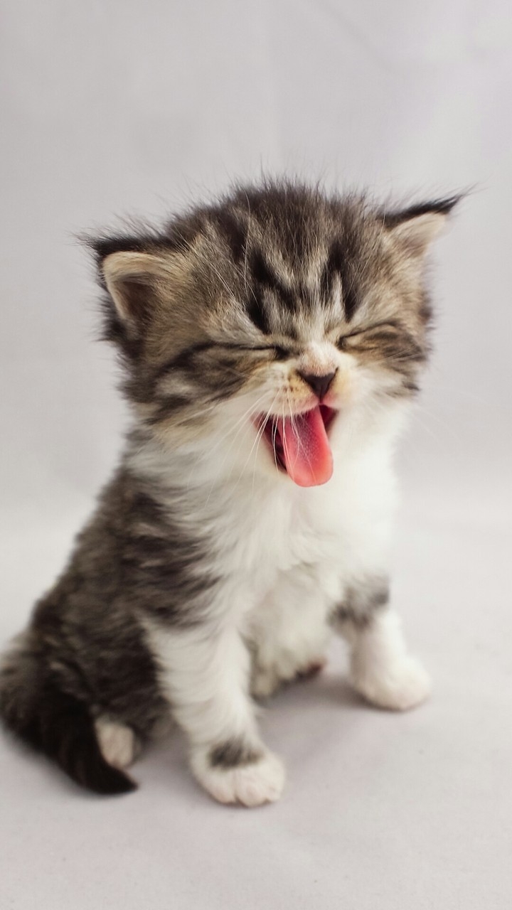 so cute
