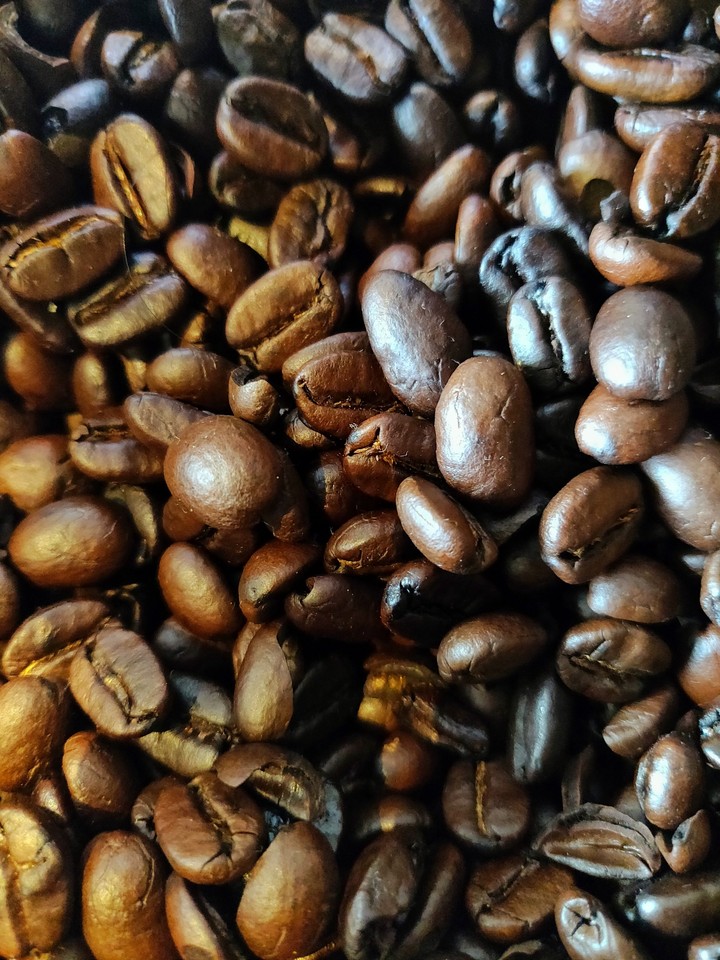 coffee seed