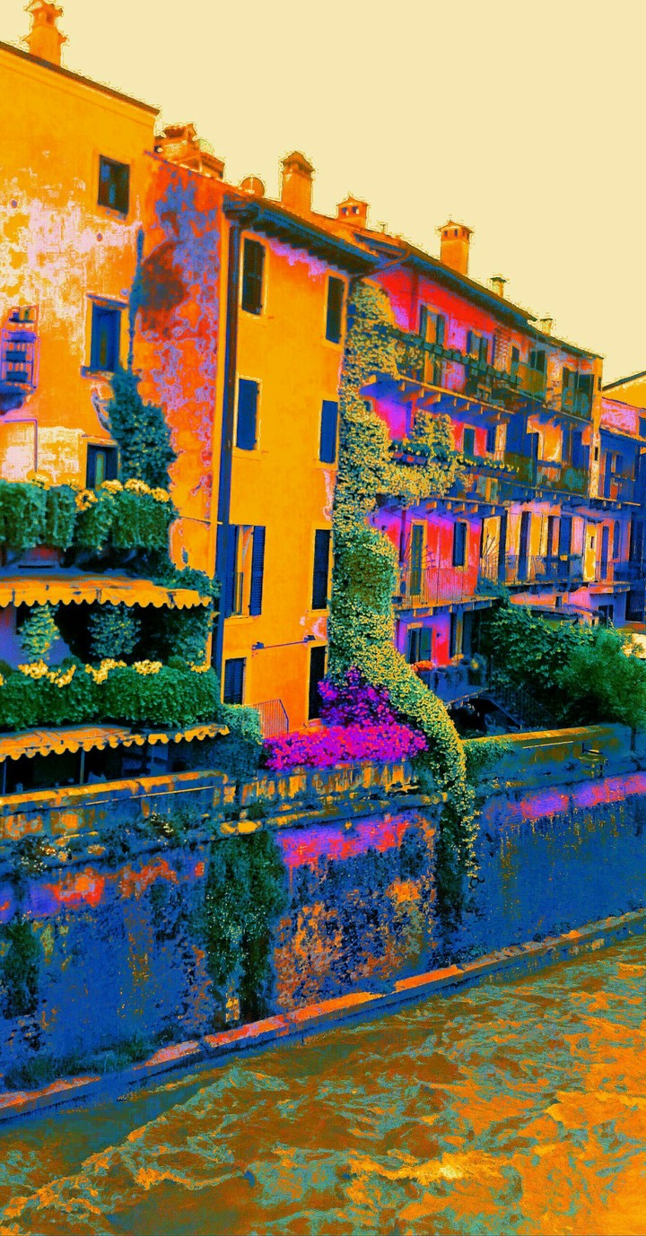 VERONA COLORS