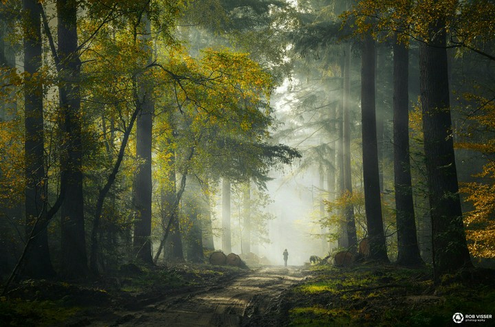 Mystery Passage + Rob Visser