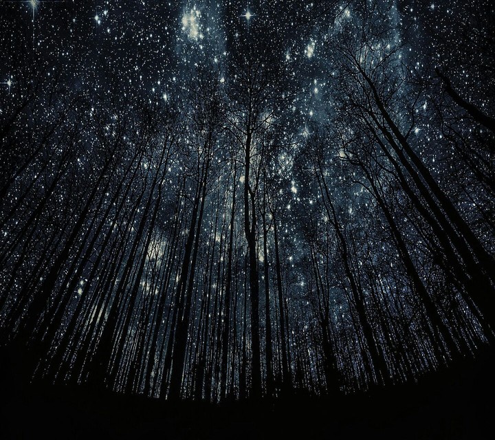 stars✨