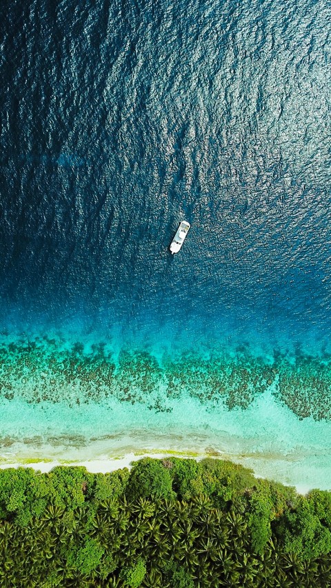 beach line...