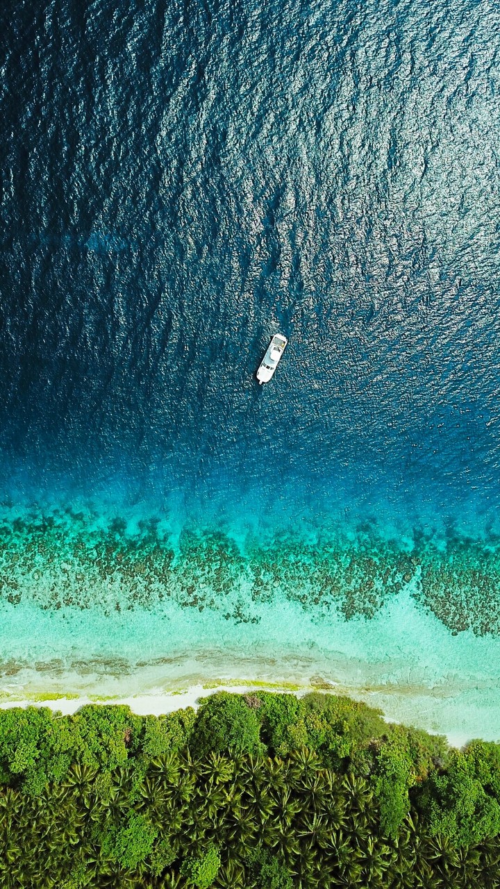 beach line...
