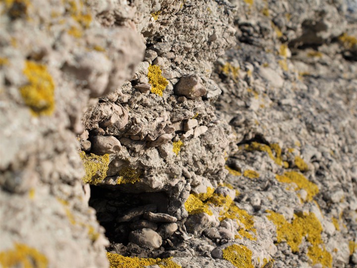 Stone walls never fall