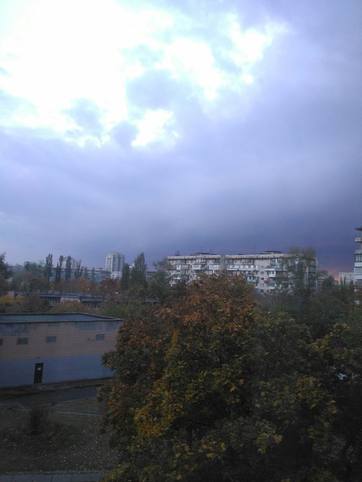 sky and autumn trees