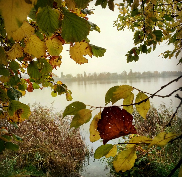 Autumn nature