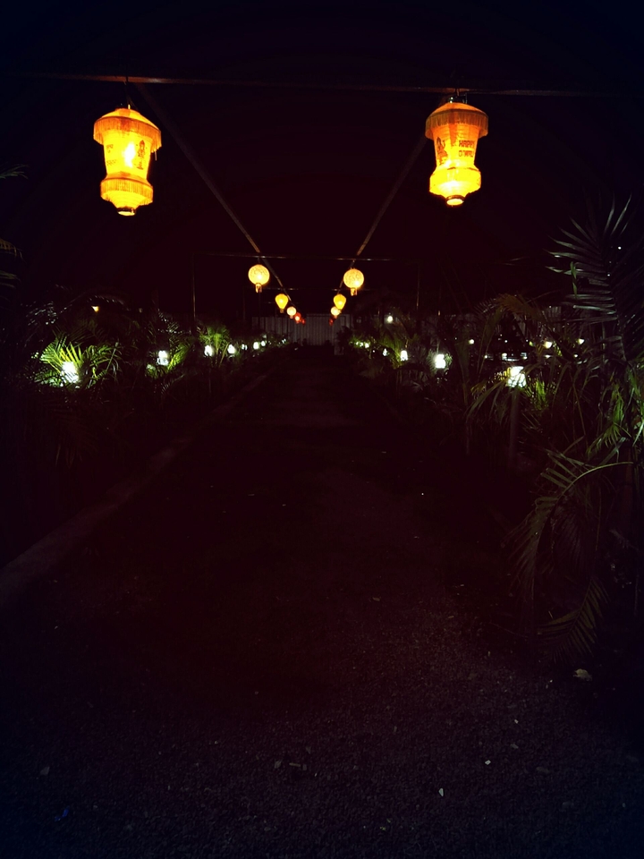 light