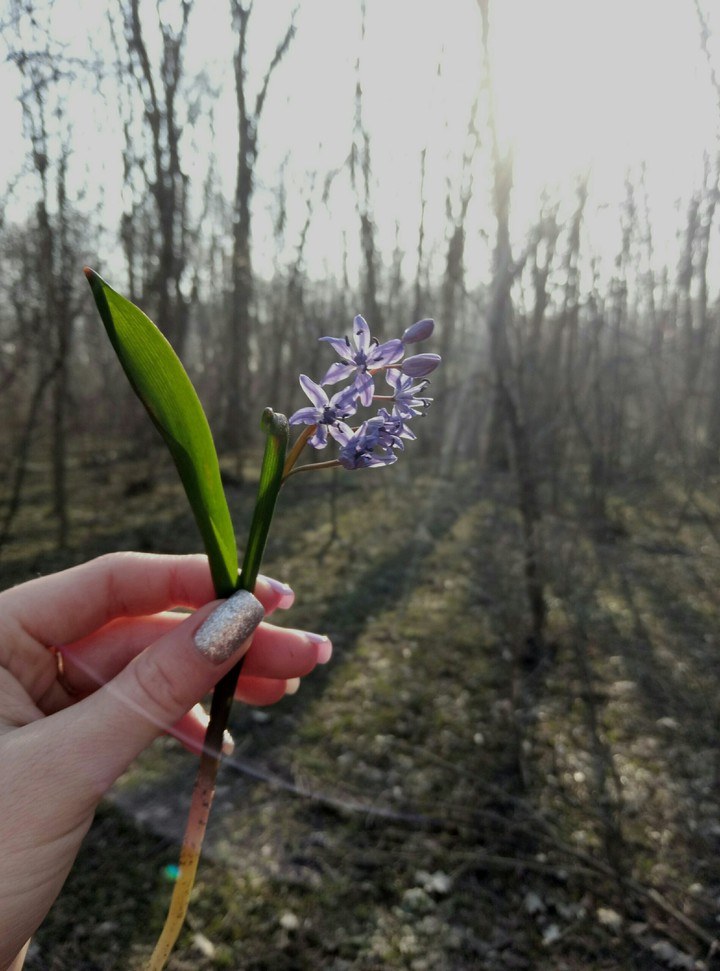 spring ❤