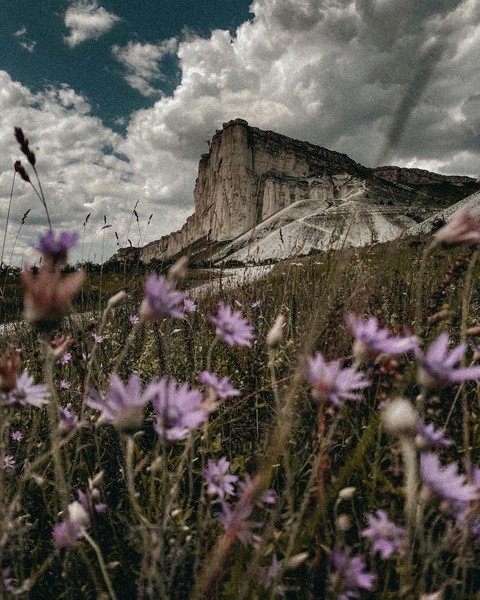 nature, ecoregion壁纸