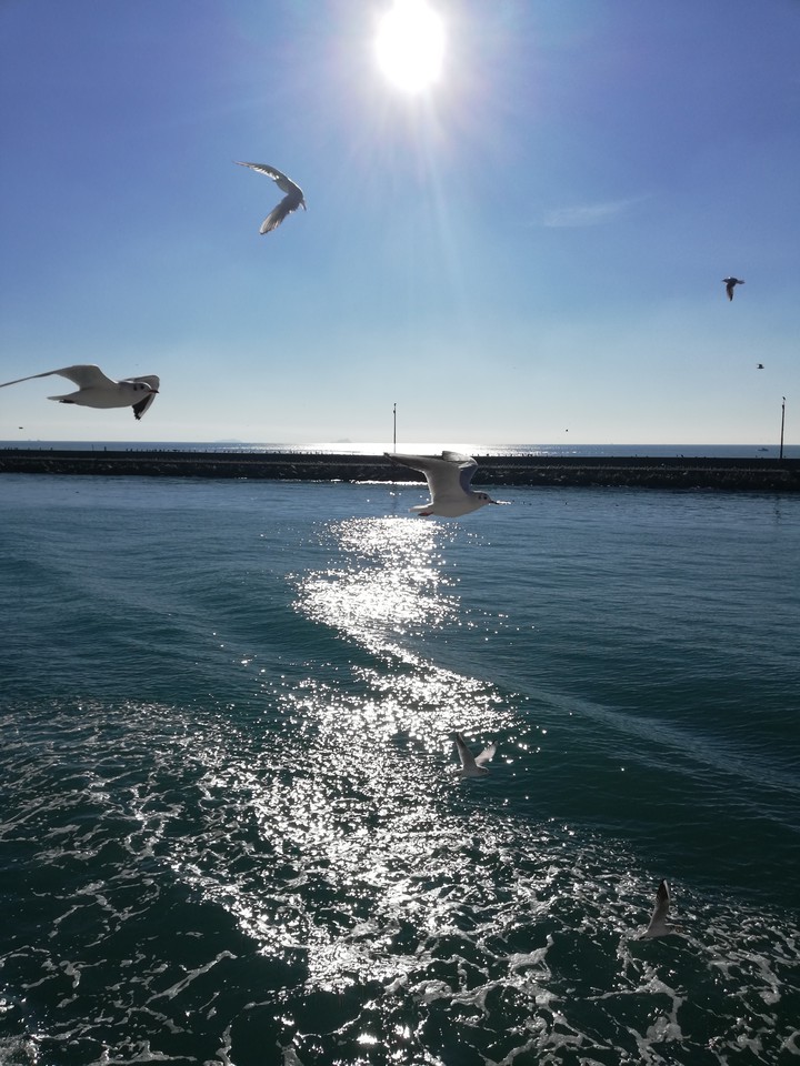 Free