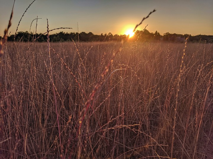 Sunsets