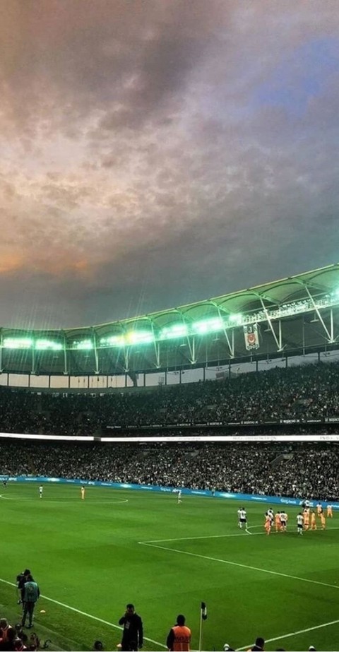 Kartal Yuvası