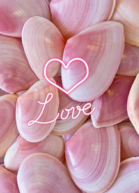 тапети pink, seashell