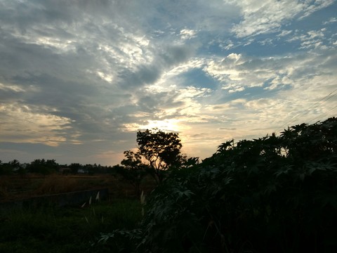 DAWN