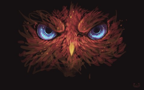owl
