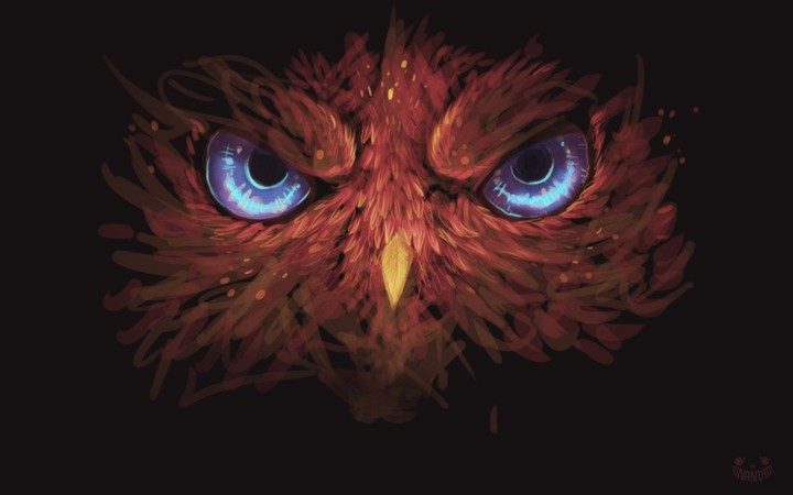 owl