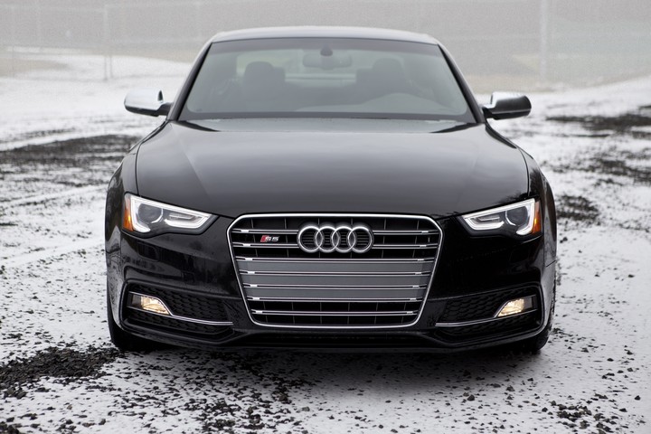 #Audi Animals 
