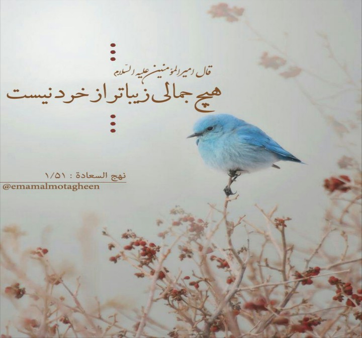 Hadis