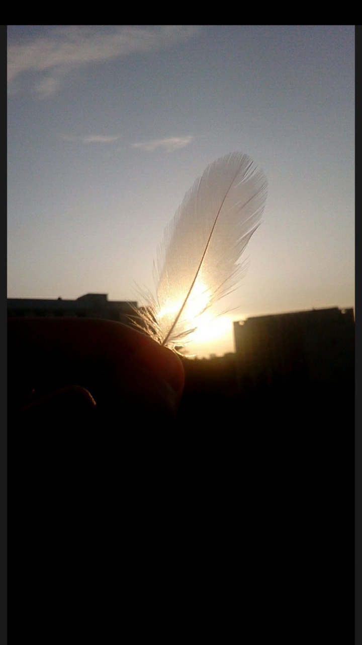plume