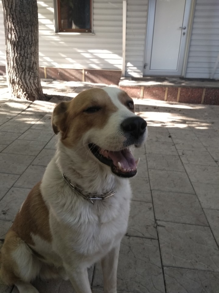 smile