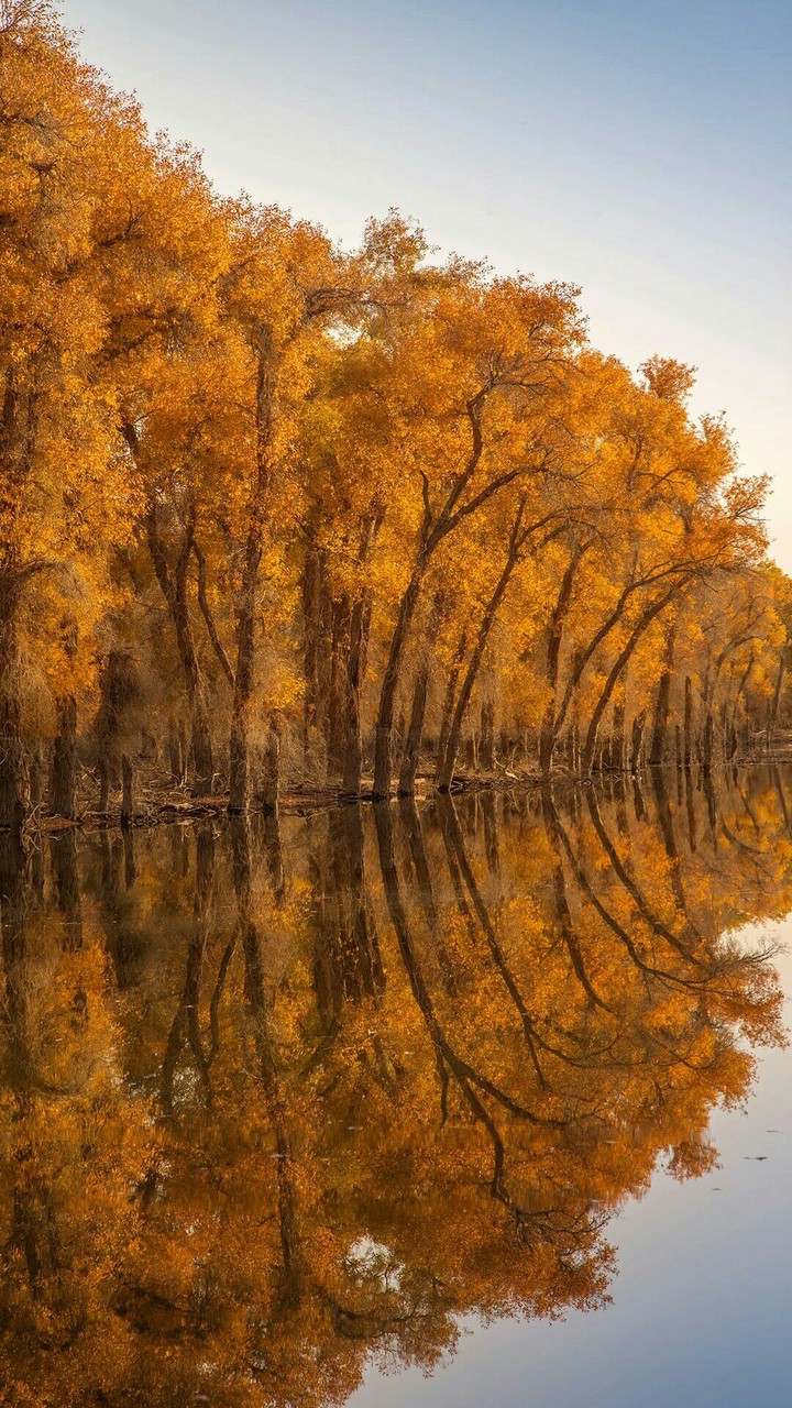 The Beauty of Nature