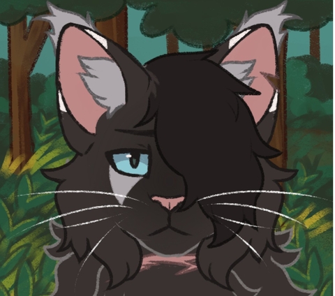 רקעים illust, Carnivore